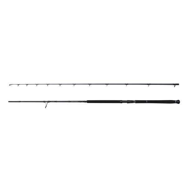 Savage Gear SG2 Defiance Shore Jig (Varaličarski štapovi) - www.eribolov.rs